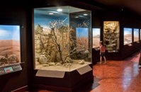 Natural%20History%20Museum%20of%20Crete